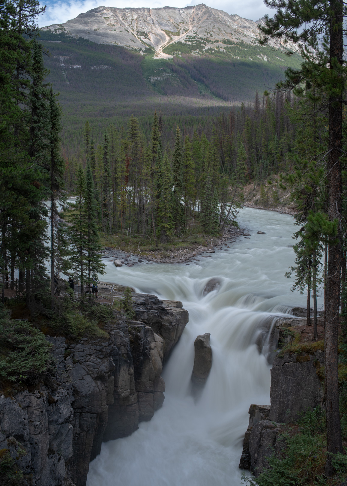 Canada Jasper-1